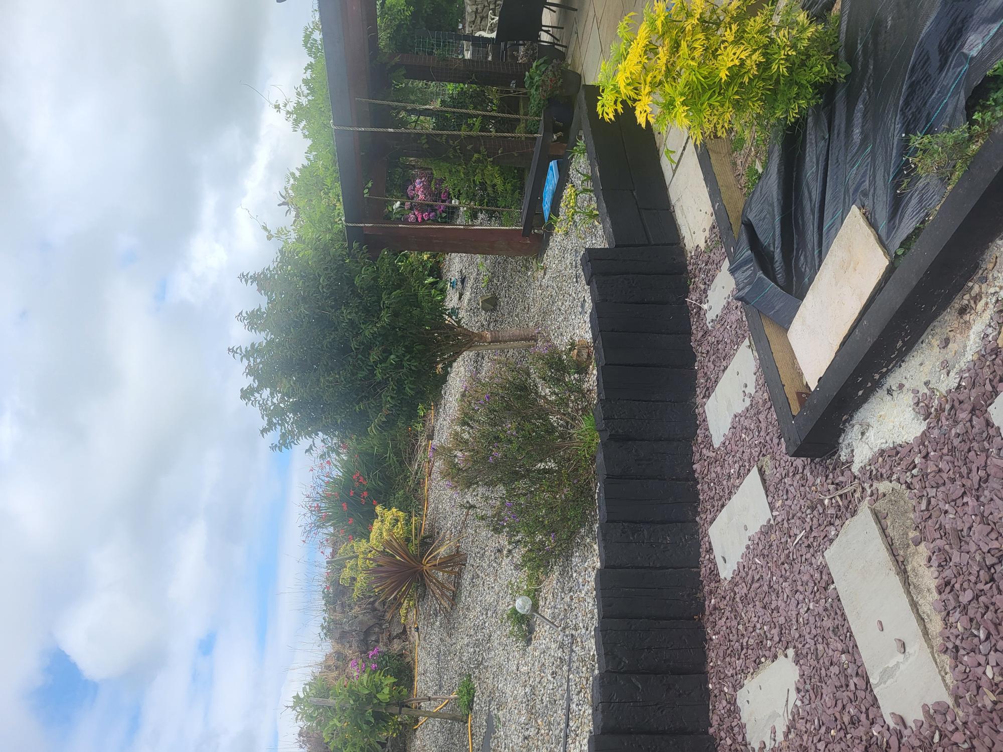 Garden after upgrade 1