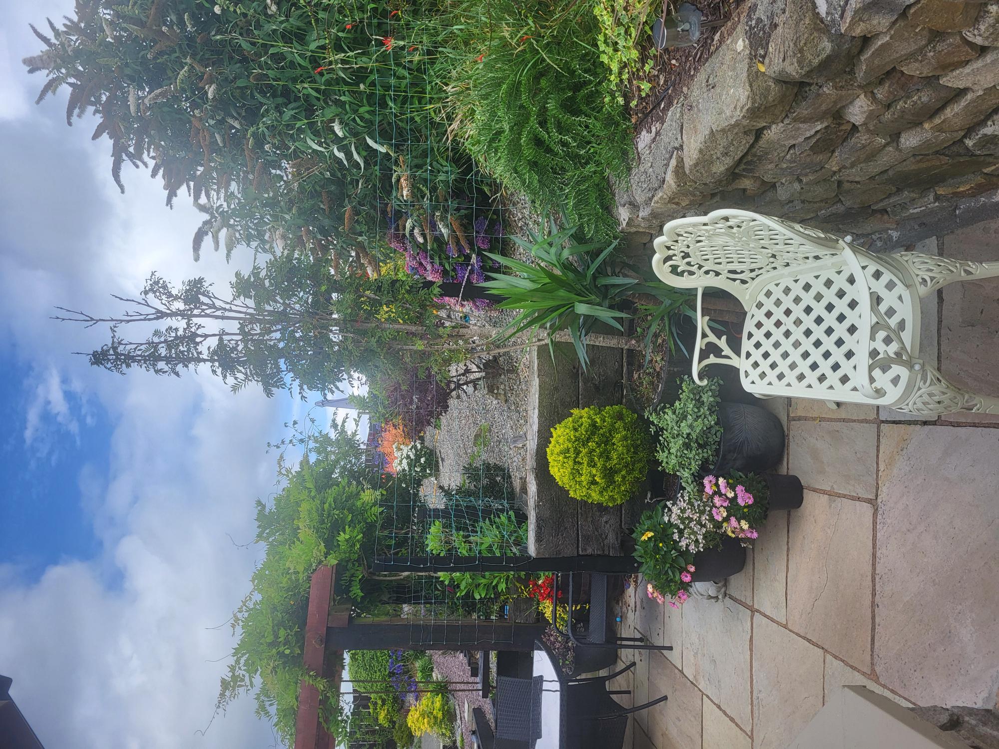 Garden after upgrade 2