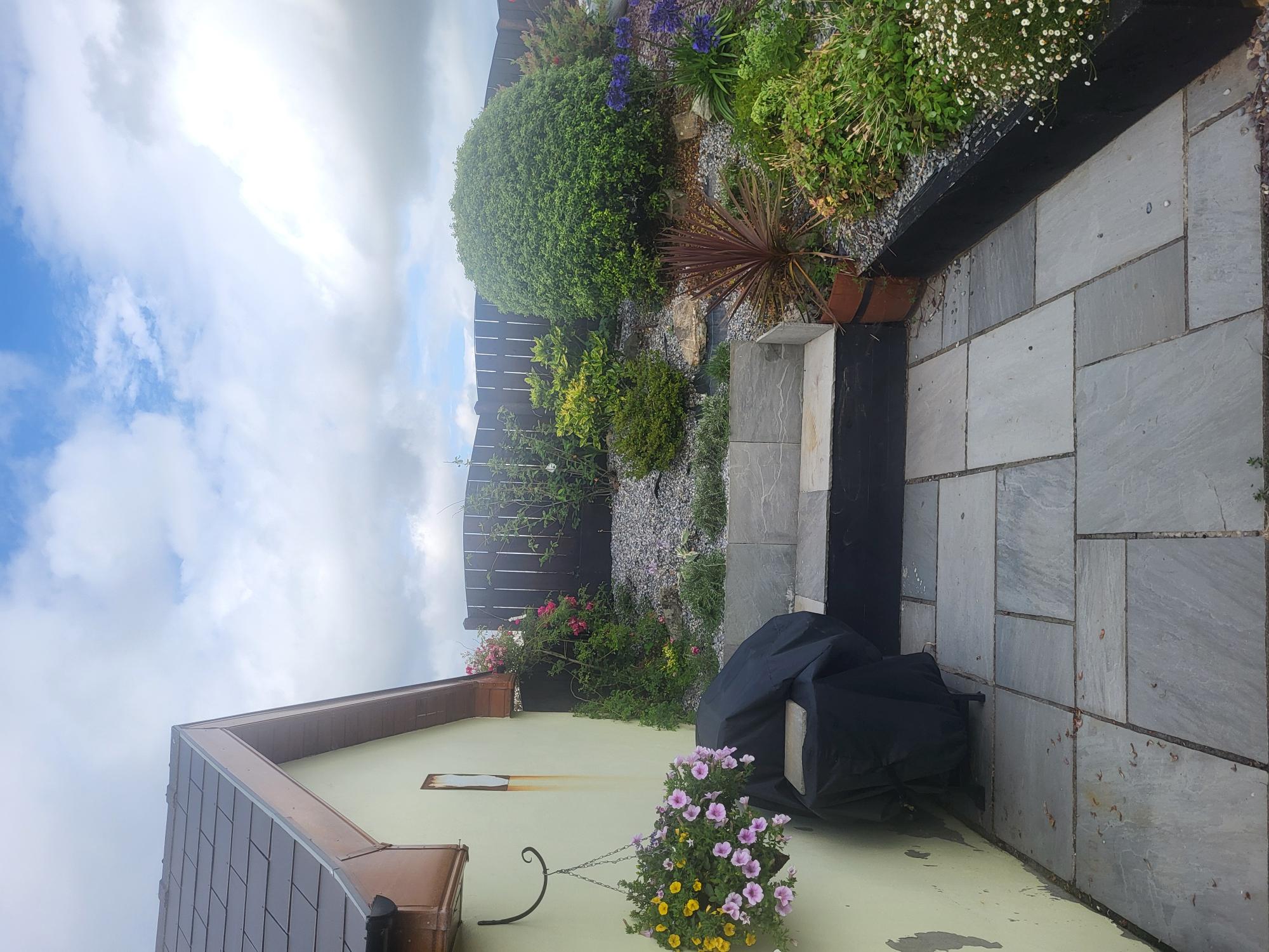 Garden after upgrade 3